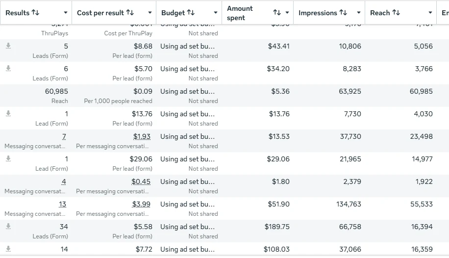 Meta Ads Manager ad set results, screenshot 1 of 11