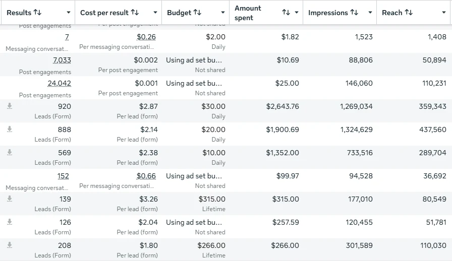 Meta Ads Manager ad set results, screenshot 10 of 11