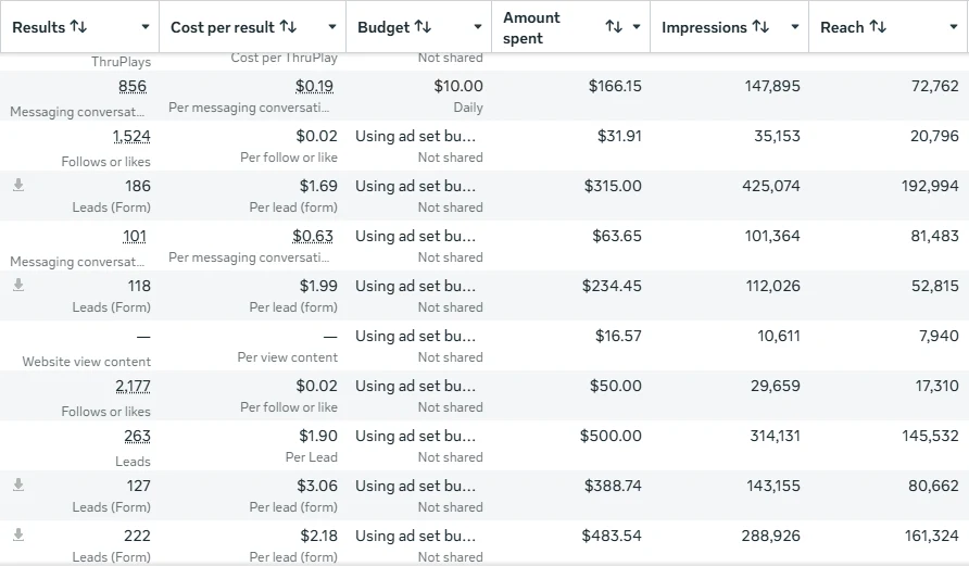 Meta Ads Manager ad set results, screenshot 11 of 11