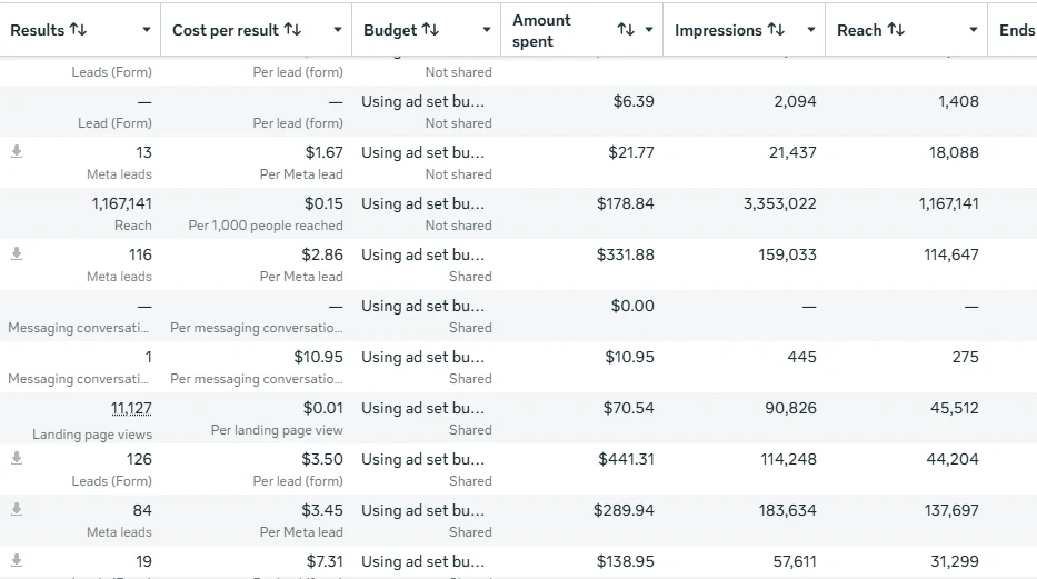 Meta Ads Manager ad set results, screenshot 3 of 11