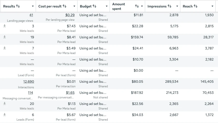 Meta Ads Manager ad set results, screenshot 4 of 11