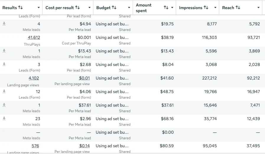 Meta Ads Manager ad set results, screenshot 5 of 11