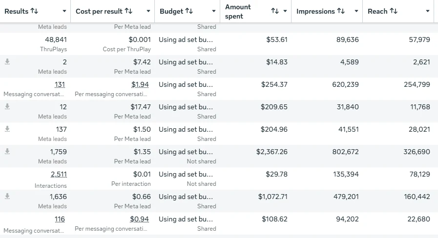 Meta Ads Manager ad set results, screenshot 6 of 11