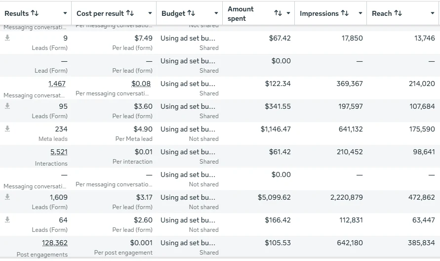 Meta Ads Manager ad set results, screenshot 7 of 11