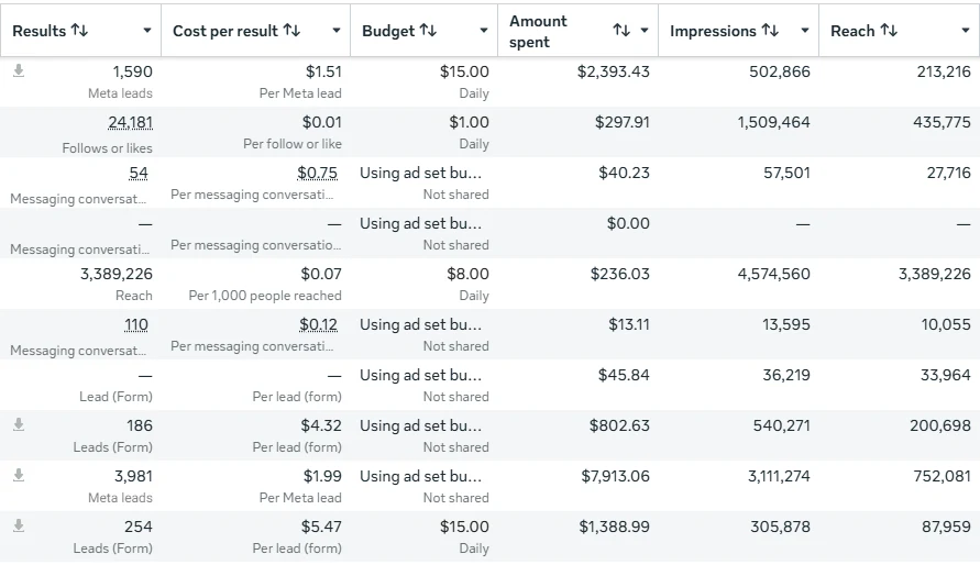 Meta Ads Manager ad set results, screenshot 8 of 11