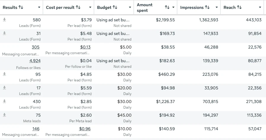 Meta Ads Manager ad set results, screenshot 9 of 11